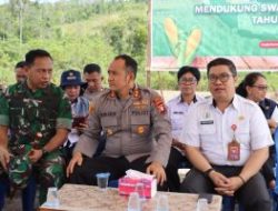 Forkopimda Gunung Mas Kompak Tanam Jagung Serentak Dukung Ketahanan Pangan Nasional